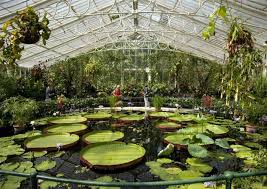 kids go free to kew gardens this summer