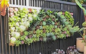 Succulent Wall Vertical Garden Solutions