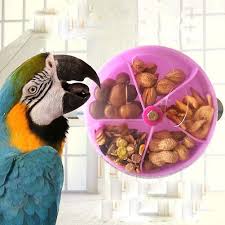 bird parrot foraging toy creative seed