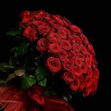 top 27 most beautiful red roses