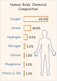 human body chemical composition you