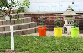 5 Gallon Bucket Planter For Your Garden