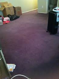 purple carpet