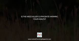 Is The Weed Killer Glyphosate Harming Your Health Autism