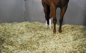 Stall Bedding Matters Quarter Horse News