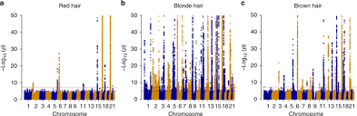genome wide study of hair colour in uk