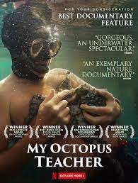 Watch my octopus teacher online free where to watch my octopus teacher my octopus teacher movie free online My Octopus Teacher In 2021 Good Music Science Nature The Fosters