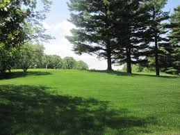 on oak pointe golf course brighton