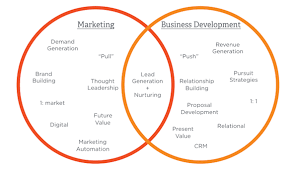 What type of information do i need to include? Comparing Marketing And Business Development