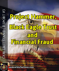 Image result for Bush's project hammer
