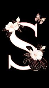 beautiful s alphabet erfly and