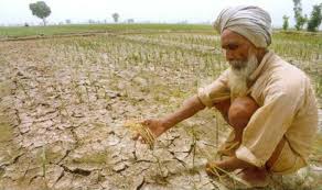 Image result for images arid in latur
