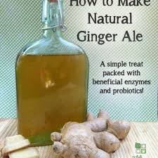 how to make healthy ginger ale
