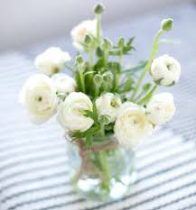 30 types of white flowers with names