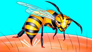 It's meant to drive the stinger in as deep as possible; That S Why Bees Can Only Sting Once Youtube