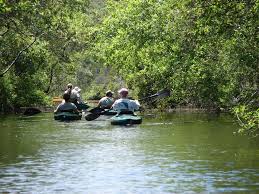 okefenokee sw from mining