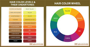 how the color wheel really works hair