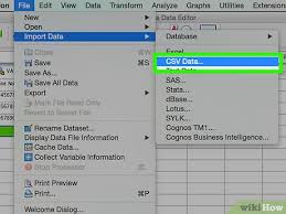 how to enter data in spss 8 steps