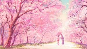 100 cherry blossoms anime scenery
