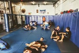 best brazilian jiu jitsu gyms in sydney