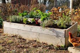 build raised beds for gardening