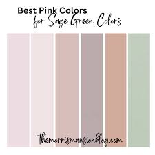 9 sage green color palettes 2023