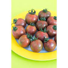 Tomate artisan™ purple bumble bee. Tomate Artisan Purple Bumble Bee Samen Online Kaufen Saemereien Ch
