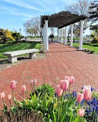 Tulips At Brewster Gardens By Janice