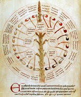 Science Source Uroscopy Wheel 15th Century