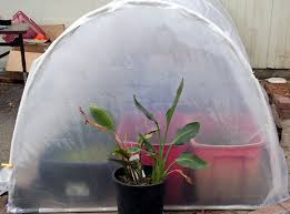 13 Diy Greenhouse Plans Off