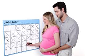 Due Date Calculator Ovulation Fertility Conception