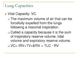 ppt lung volumes and capacities