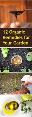 12 Organic Remedies Gardening Tips