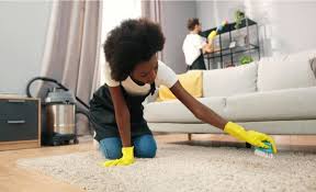 how to clean carpet at home home
