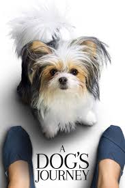 Bruce cameron bestsellere alapján készült, szívet melengető film a nagy sikerű egy kutya négy élete folytatása. Egy Kutya Negy Utja Teljes Film A Legjobb Filmek Es Sorozatok Sfilm Hu