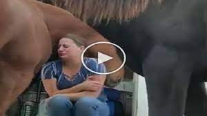 VIDEO: महिला को इमोशनल देख घोड़े ने बंधाया ढाढस, गले लगाकर यूं बढ़ाया हौसला  | Horse trying to support girl after loss of her father people gets  emotional to see the viral