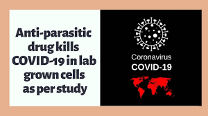 Anti-parasitic drug kills COVID-19 in lab grown cells as per study - YouTube