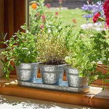 Windowsill Herb Pots Galvanised