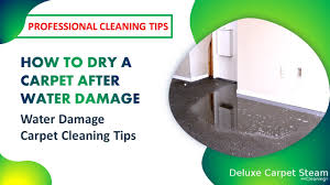 water damage carpet cleaning tips