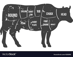 Vintage Butcher Cuts Of Beef Diagram