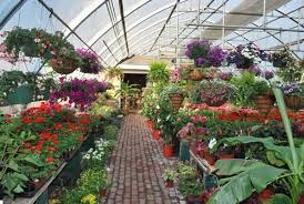 Nursery Greenhouse