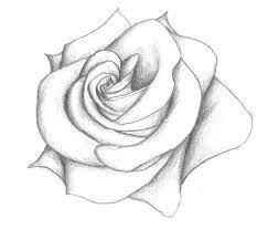 You will start from the but and work your way outward adding petals. 16 3d Flower Drawing Flower Sketch Pencil Flower Sketches Pencil Drawings Easy