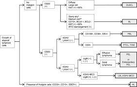 Diagnostic Flowchart For Aids Related Lymphoma Cd20
