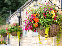 Spruce Up Your Pub Garden With These