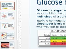 Homeostasis System The Balancing Blood Glucose Level And Energy Use And Diabetes