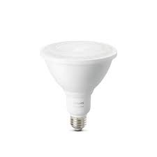 Philips Philips Hue White Outdoor Par38