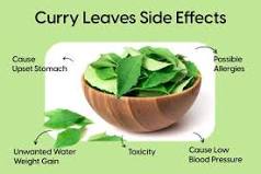 What are the side effects of curry leaves?