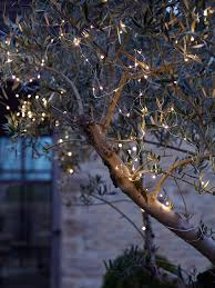 Suitable For Both Indoor And Outdoor Use These Pure White Led Lights Are Strung On A Thin Clear Wire That Outdoor Fairy Lights Wire Lights Fairy Lights Garden