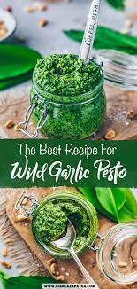 wild garlic pesto recipe vegan easy
