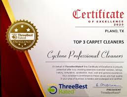 cyclone professional cleaners reviews